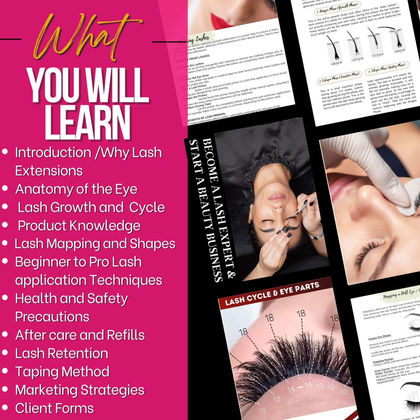 Beauty Training Manuals: Professional Lash Application