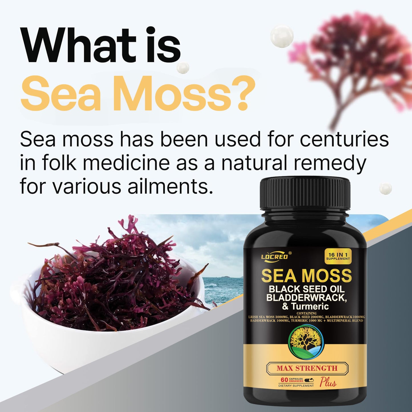 Ultimate 16-in-1 Joint Support Sea Moss Capsules – Black Seed Oil, Bladderwrack & Turmeric for Women’s Health